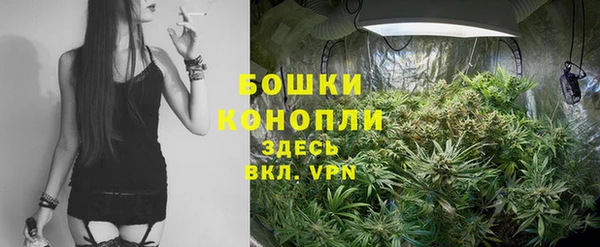 дурь Пересвет