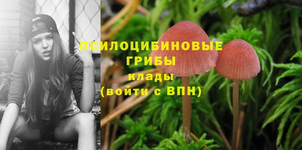 ГАЛЛЮЦИНОГЕННЫЕ ГРИБЫ Пестово