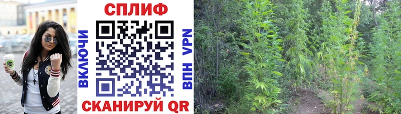Конопля Ganja  купить закладку  ОМГ ОМГ онион  Билибино 